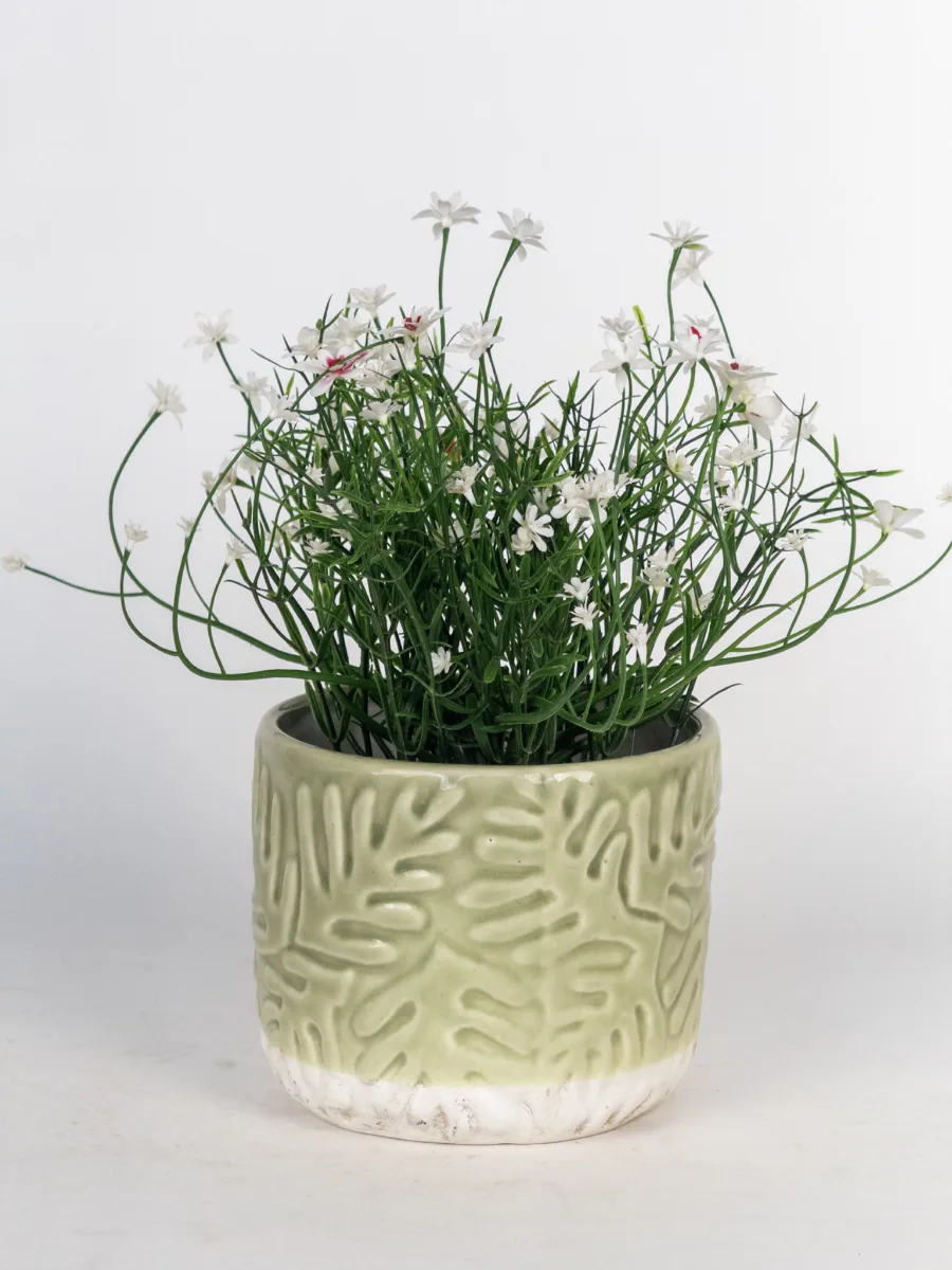 Classic Ceramic Planter — 5" Dia × 4.5" Height — Primary View