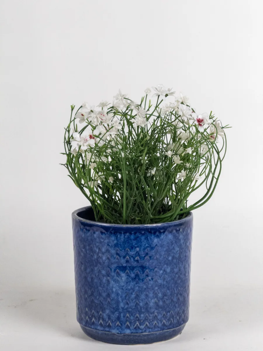 Classic Ceramic Planter — 4" Dia × 4" Height — Primary View