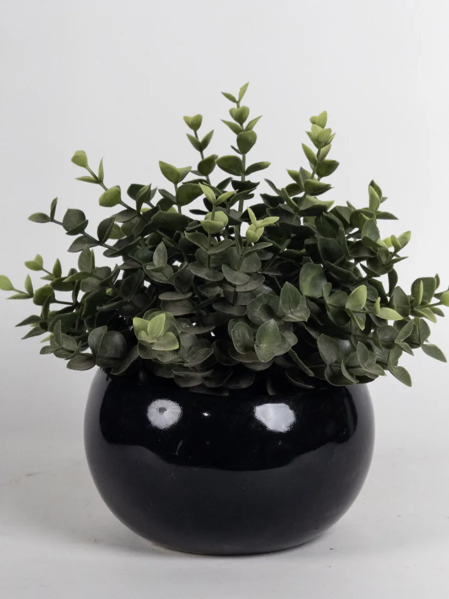 Classic Ceramic Planter — 4" Dia × 5" Height — Primary View