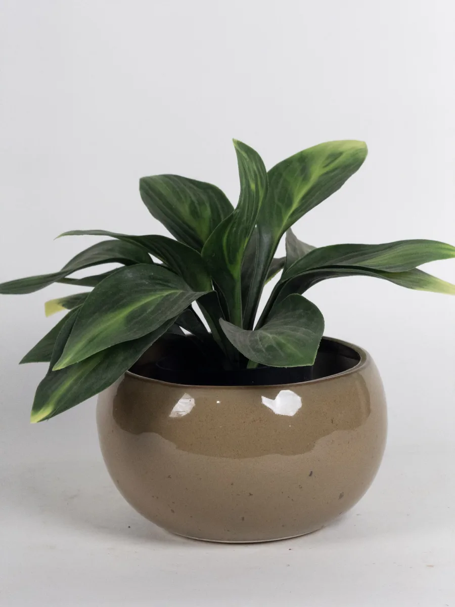 Classic Ceramic Planter — 4" Dia × 5" Height — Primary View