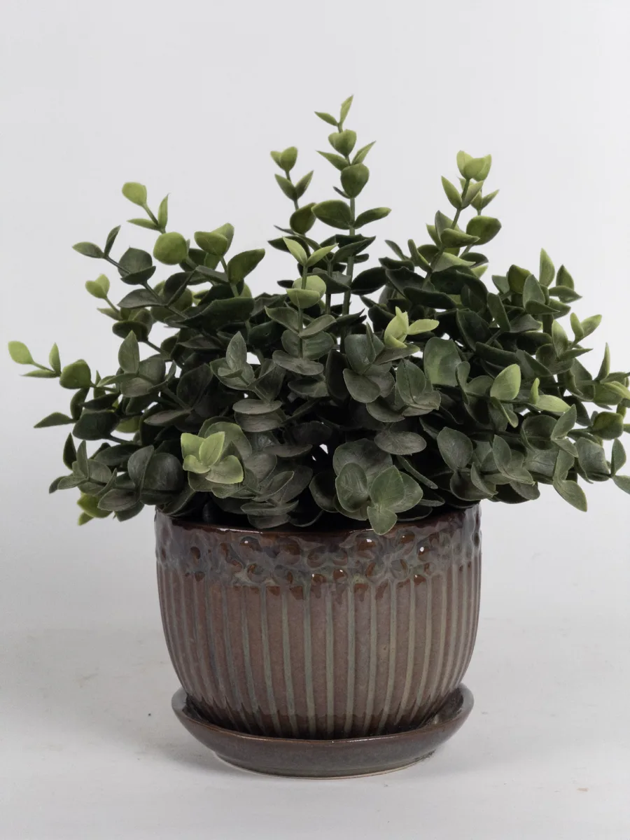 Classic Ceramic Planter — 5" Dia × 4" Height — Primary View