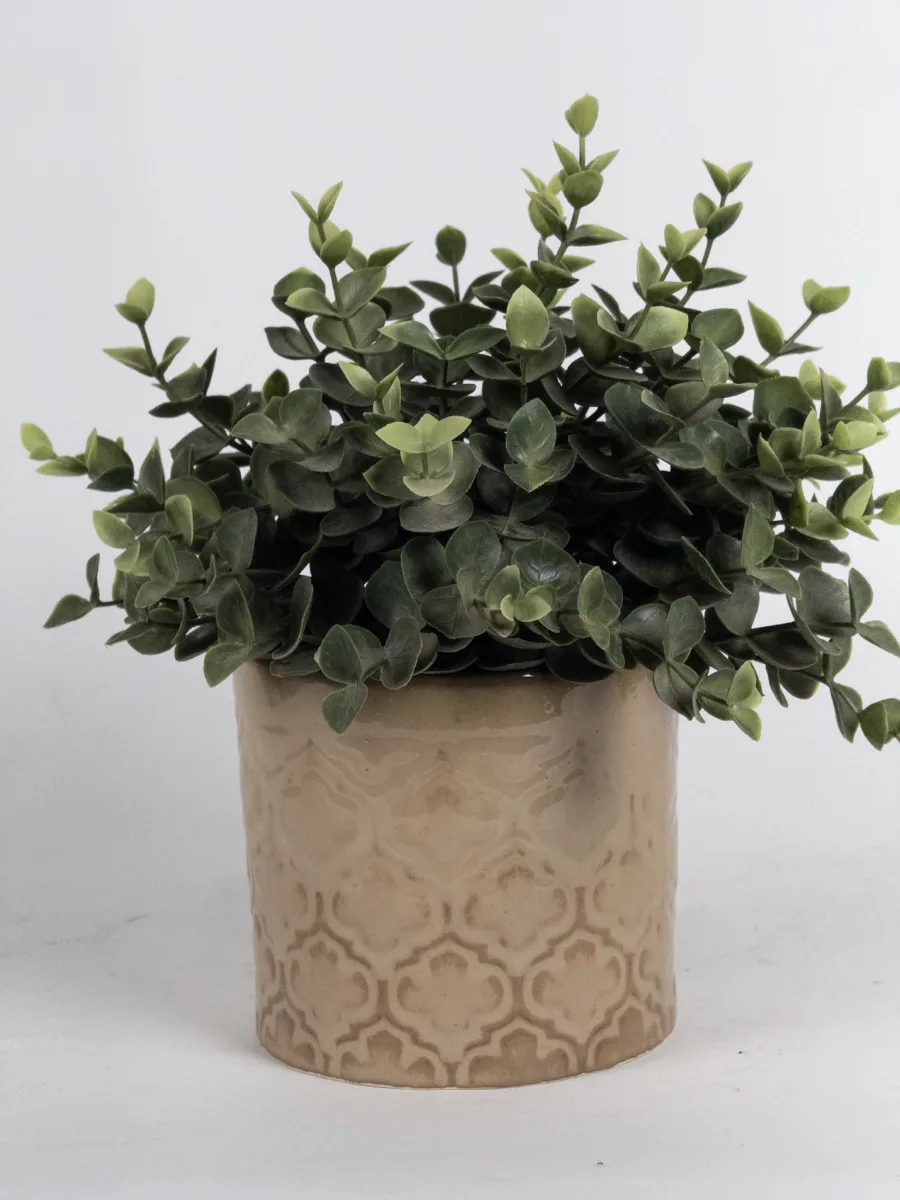 Classic Ceramic Planter — 5" Dia × 4" Height — Primary View