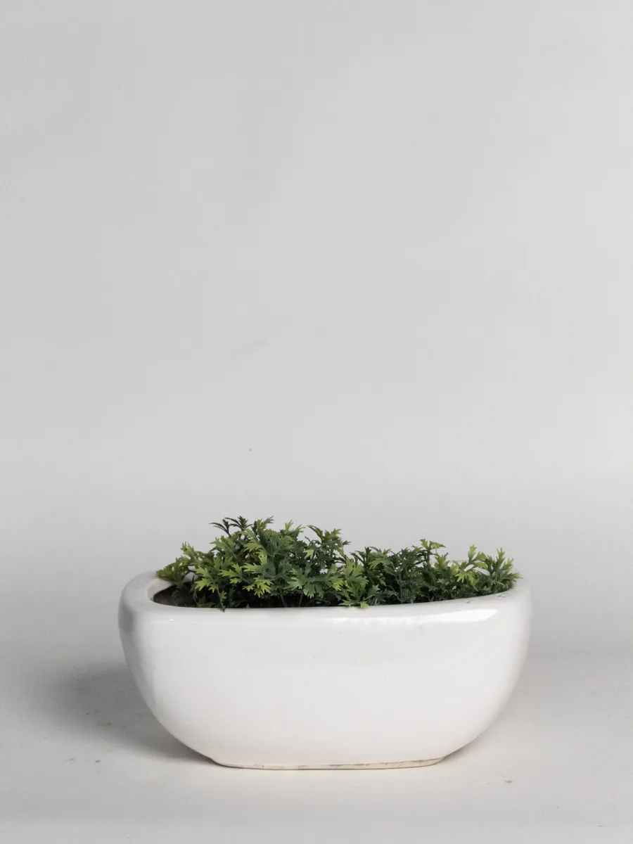 Classic Ceramic Planter — 4" Dia × 3.5" Height — Primary View