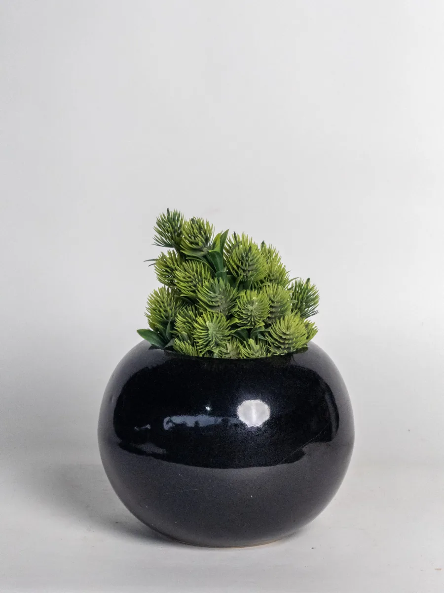 Classic Ceramic Planter — 4.5" Dia × 5" Height — Primary View