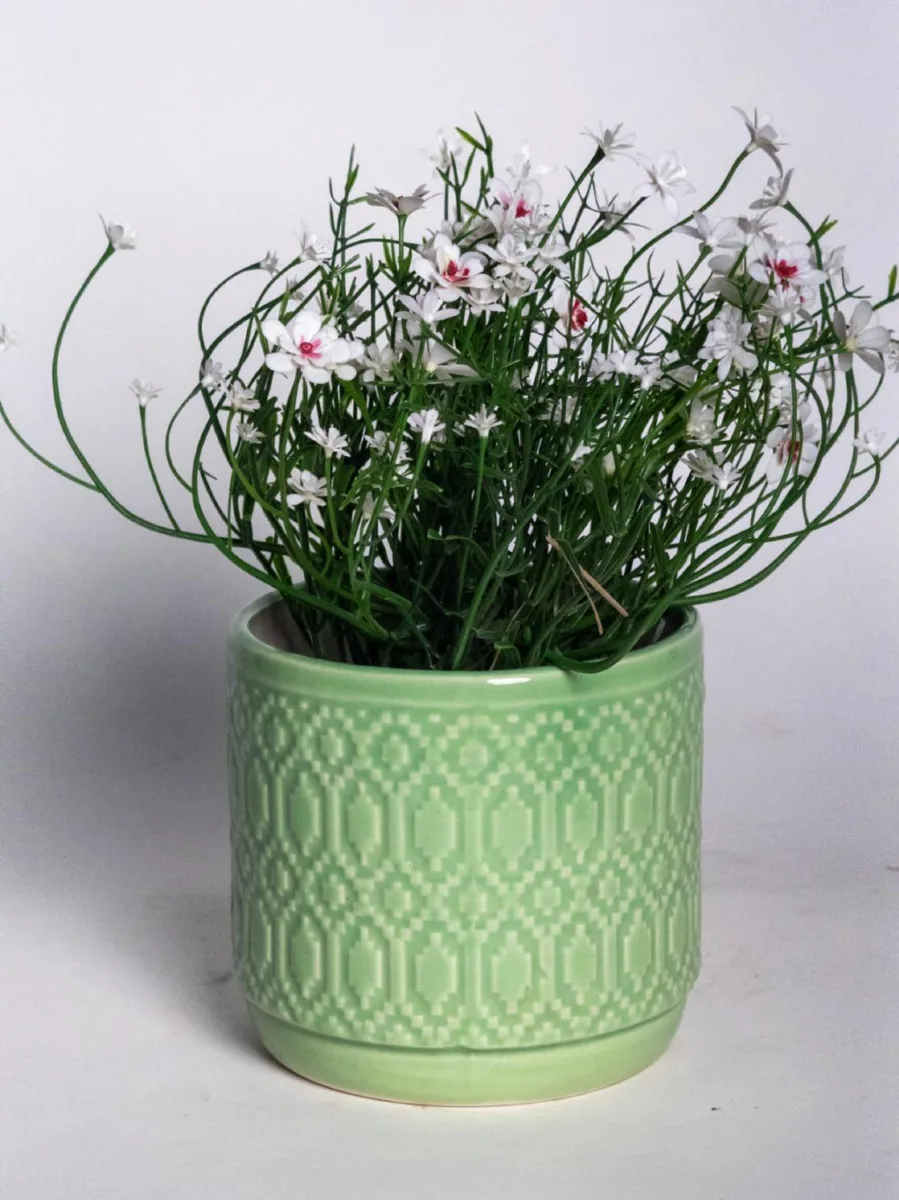 Classic Ceramic Planter — 4.5" Dia × 4.5" Height — Primary View