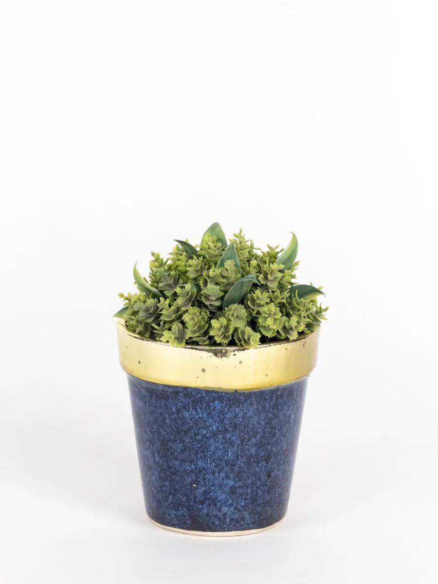 Classic Ceramic Planter — 8" Dia × 3" Height — Primary View