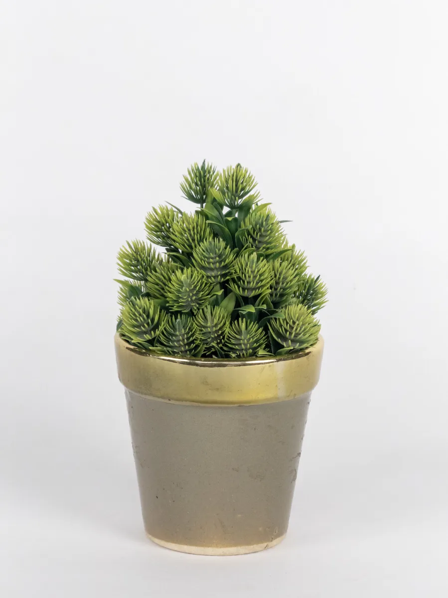 Classic Ceramic Planter — 8" Dia × 3" Height — Primary View