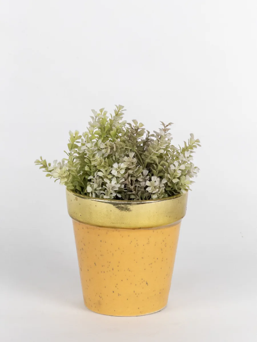 Classic Ceramic Planter — 8" Dia × 3" Height — Primary View