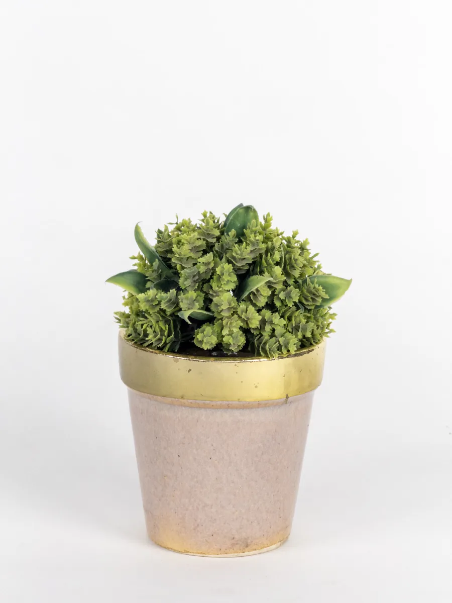 Classic Ceramic Planter — 5" Dia × 5" Height — Primary View