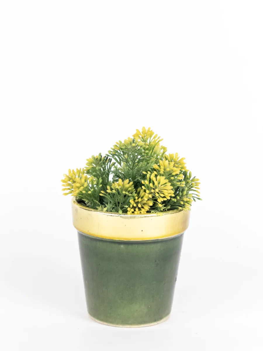 Classic Ceramic Planter — 5" Dia × 5" Height — Primary View