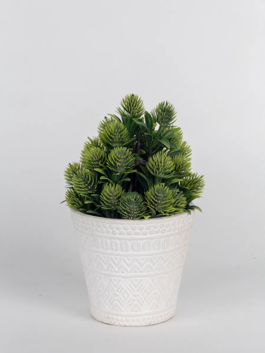 Classic Ceramic Planter — 5" Dia × 4.5" Height — Primary View