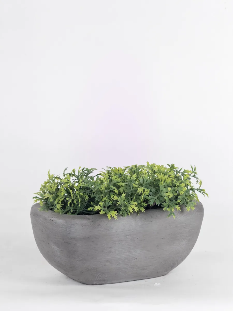 Classic Ceramic Planter — 5" Dia × 4.5" Height — Primary View
