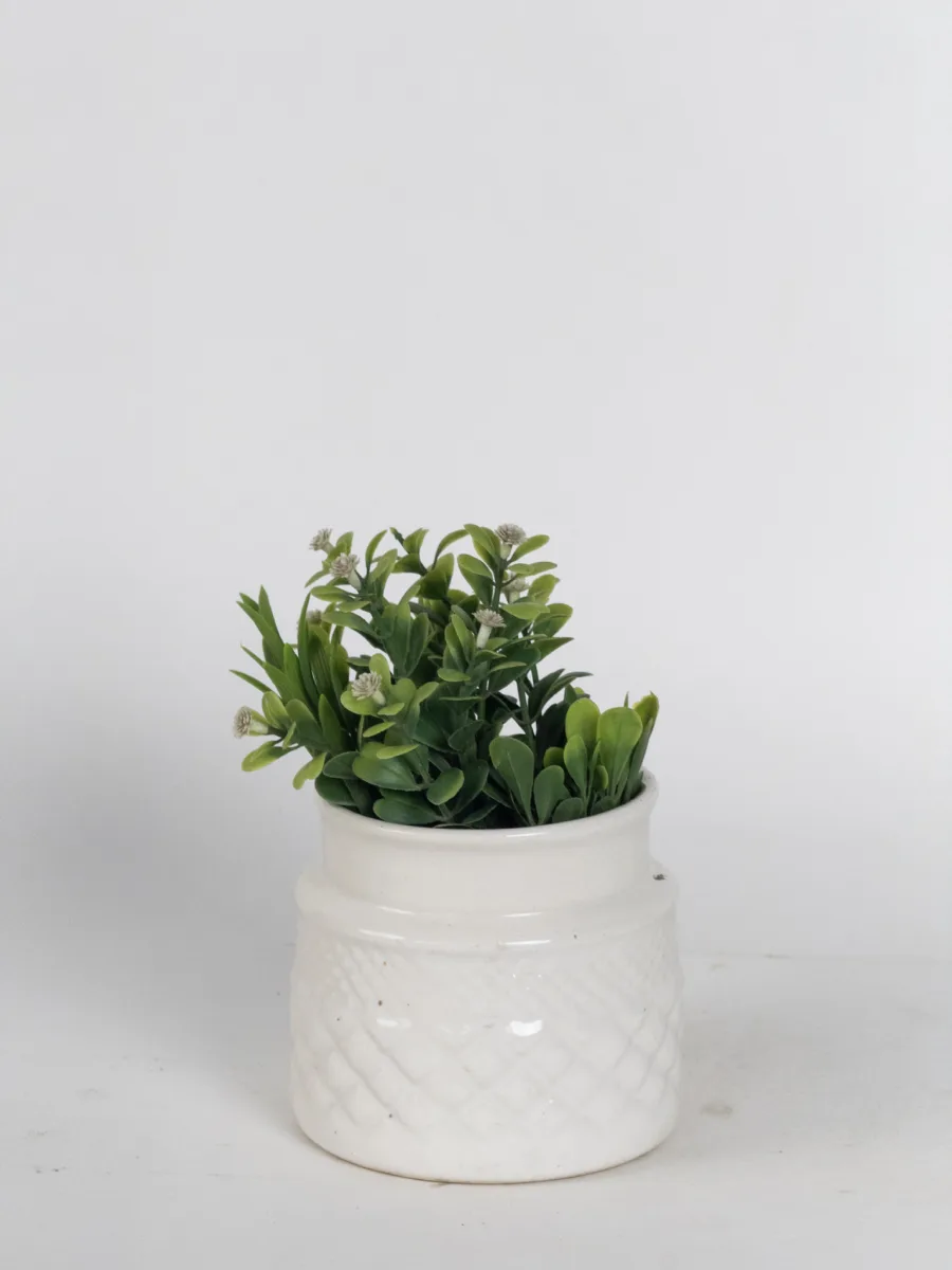 Classic Ceramic Planter — 4.5" Dia × 4.5" Height — Primary View