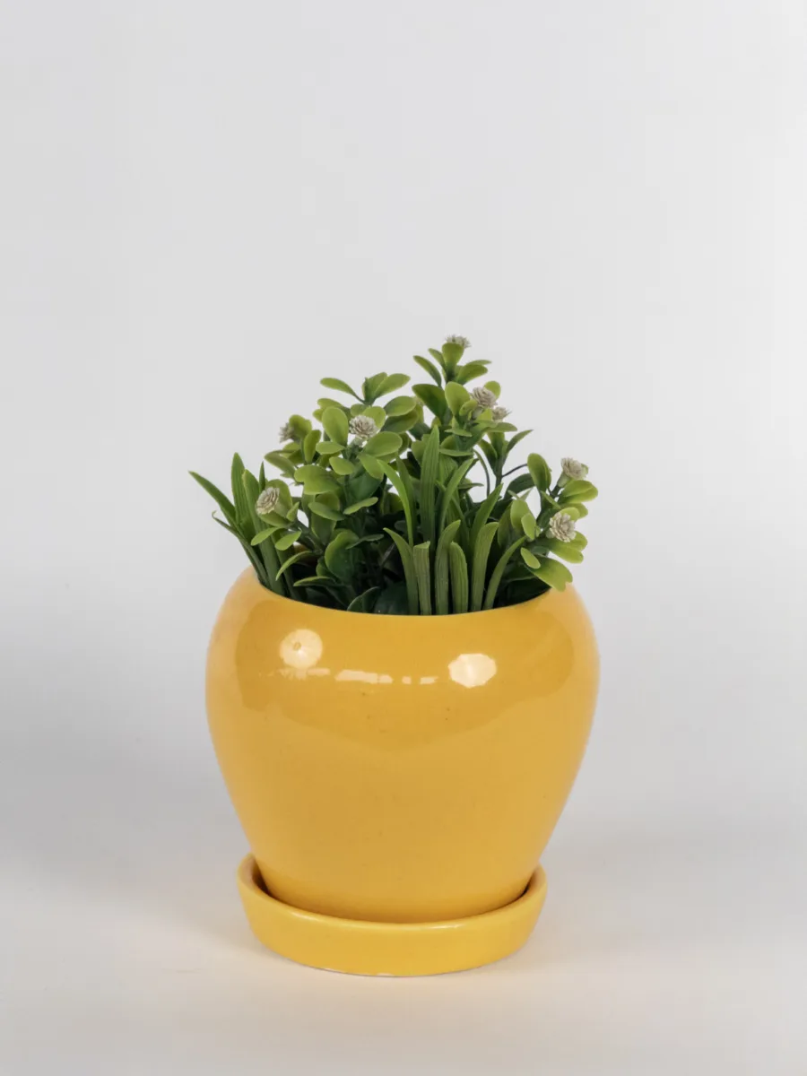 Classic Ceramic Planter — 4.5" Dia × 4.5" Height — Primary View
