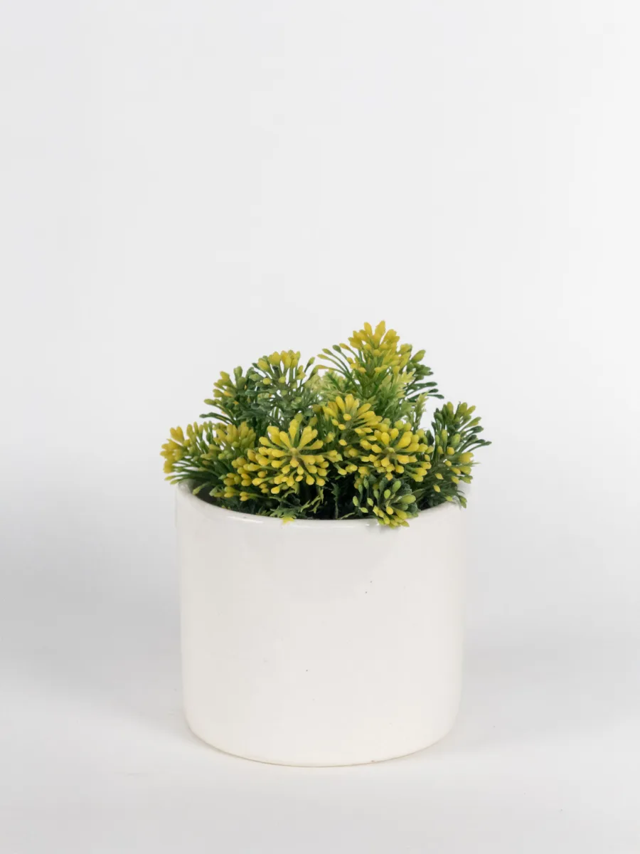 Classic Ceramic Planter — 4.5" Dia × 4.5" Height — Primary View