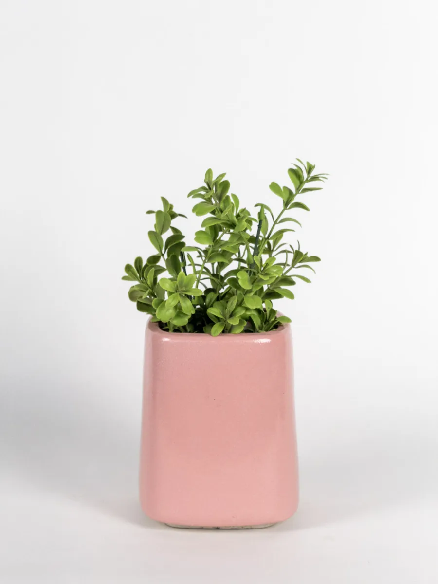 Classic Ceramic Planter — 4.5" Dia × 4.5" Height — Primary View
