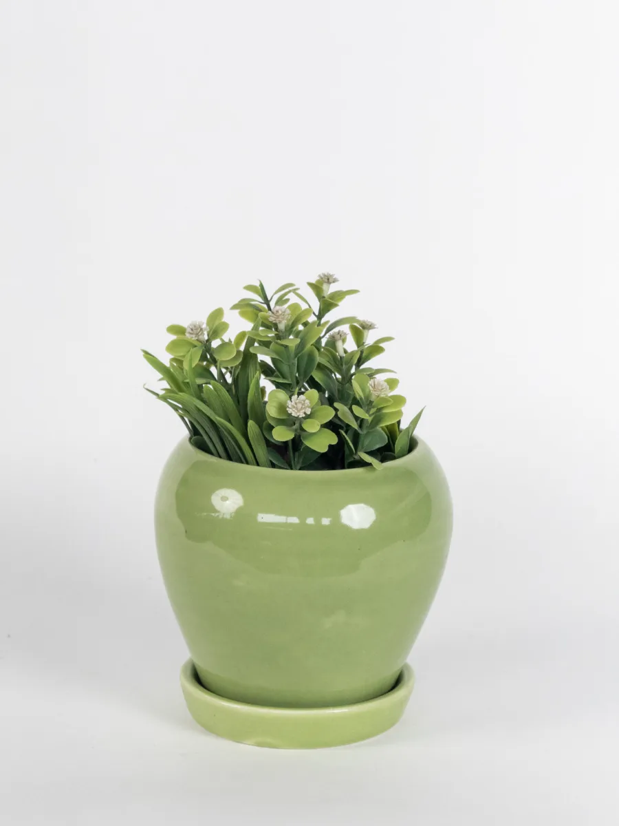 Classic Ceramic Planter — 4.5" Dia × 4" Height — Primary View