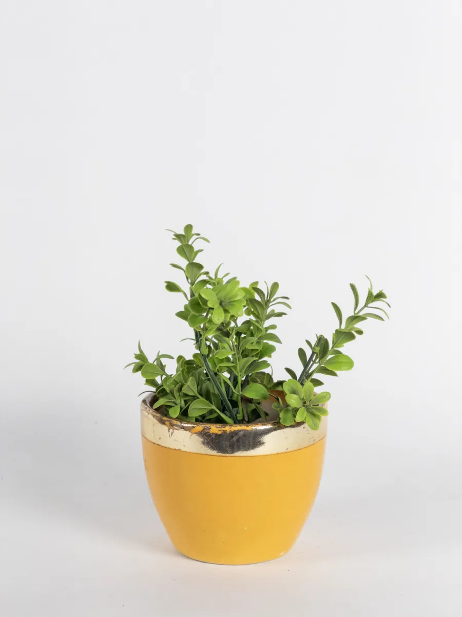 Classic Ceramic Planter — 7.5" Dia × 7" Height — Primary View