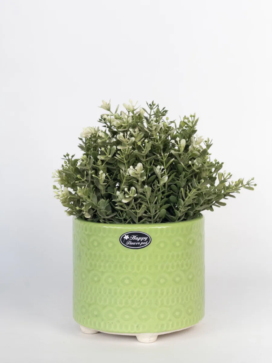 Classic Ceramic Planter — 4.5" Dia × 4.5" Height — Primary View