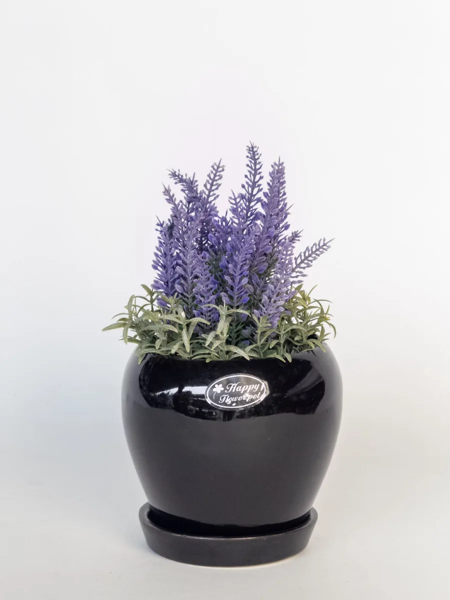 Classic Ceramic Planter — 4.5" Dia × 4" Height — Primary View