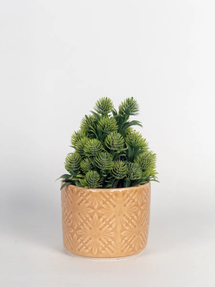 Classic Ceramic Planter — Primary View