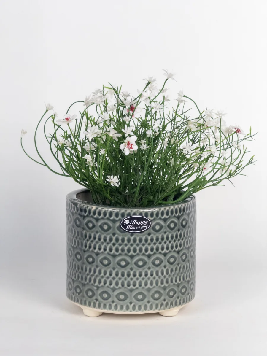 Classic Ceramic Planter — 4.5" Dia × 4.5" Height — Primary View
