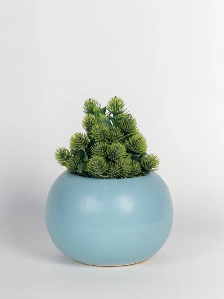Classic Ceramic Planter — 5.5" Dia × 5" Height — Primary View