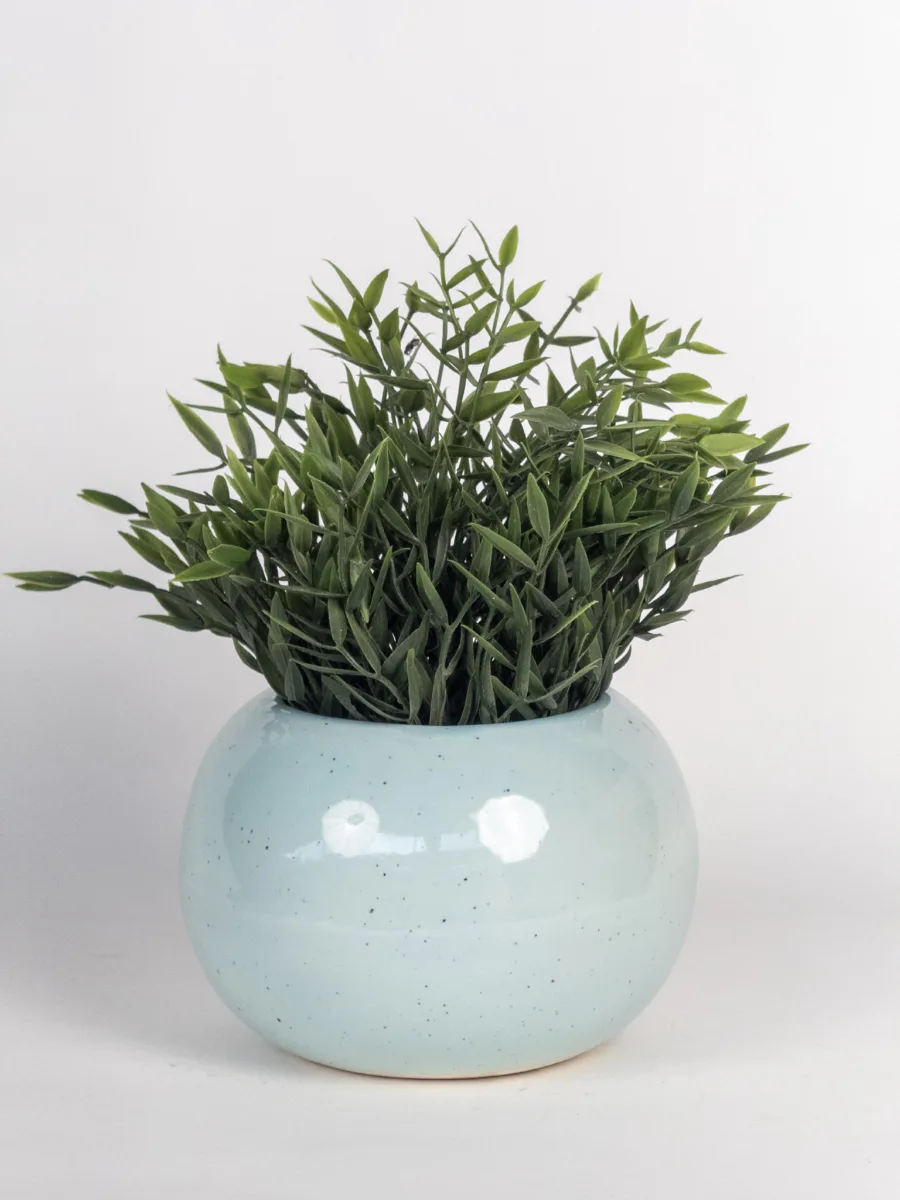 Classic Ceramic Planter — 5.5" Dia × 5" Height — Primary View