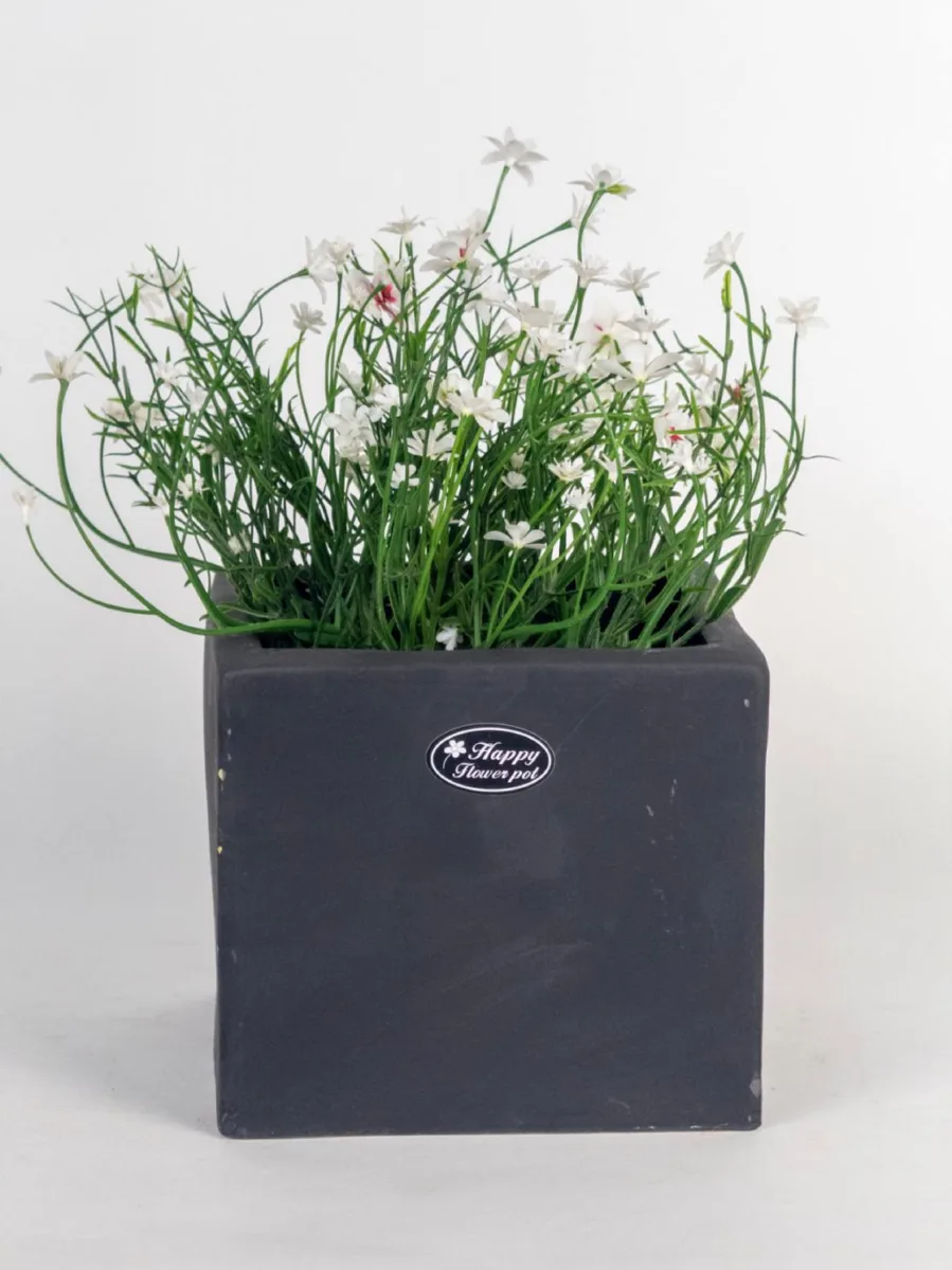 Classic Ceramic Planter — 5.5" Dia × 5" Height — Primary View