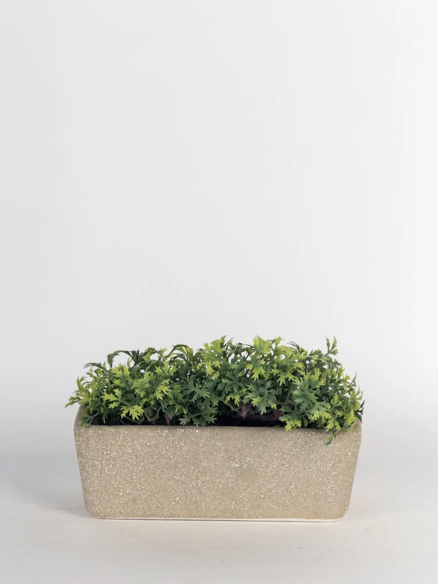 Classic Ceramic Planter — 4.5" Dia × 3.5" Height — Primary View