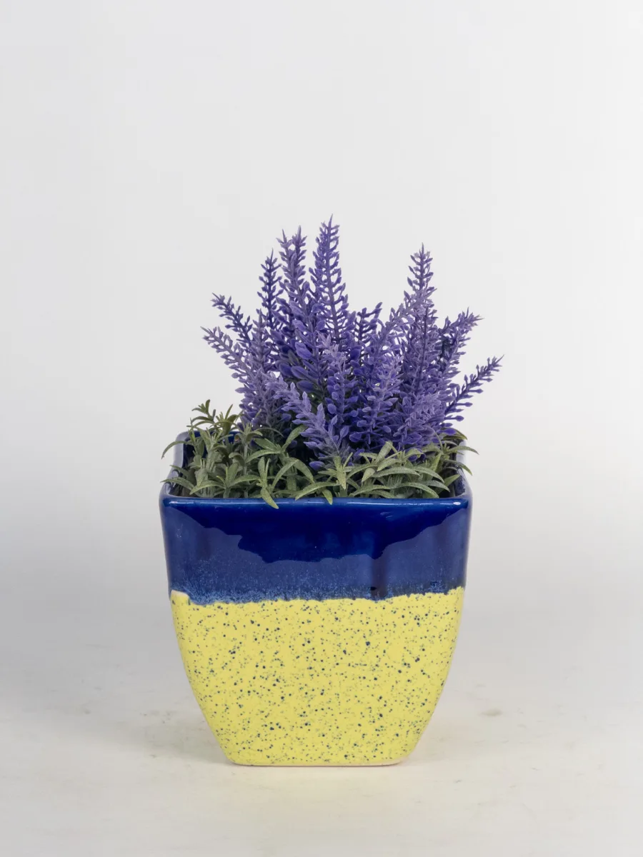 Classic Ceramic Planter — 4.5" Dia × 5" Height — Primary View