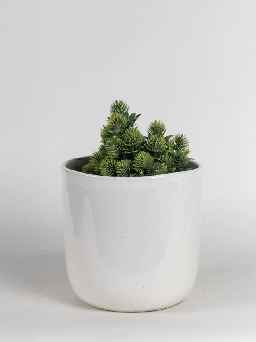 Classic Ceramic Planter — 5.5" Dia × 5" Height — Primary View