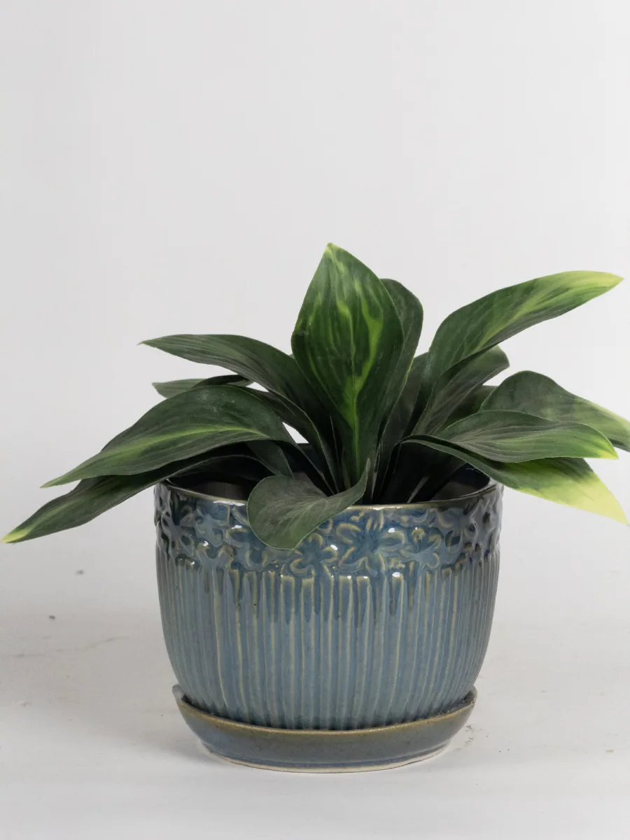 Classic Ceramic Planter — 6" Dia × 4.5" Height — Primary View
