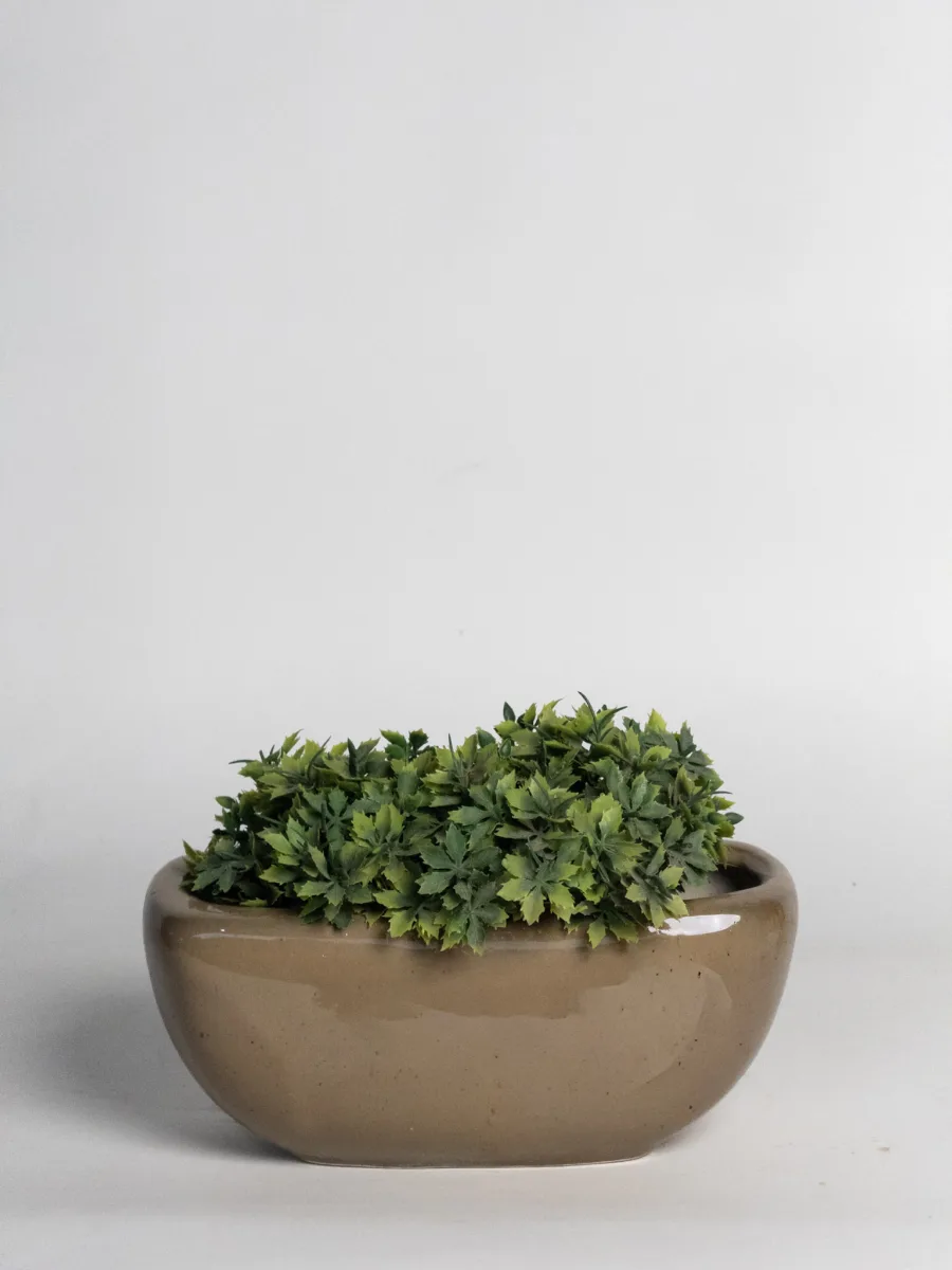 Classic Ceramic Planter — 6" Dia × 4.5" Height — Primary View
