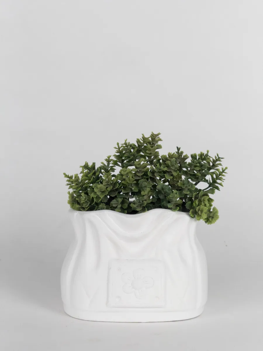 Classic Ceramic Planter — 5.5" Dia × 5" Height — Primary View