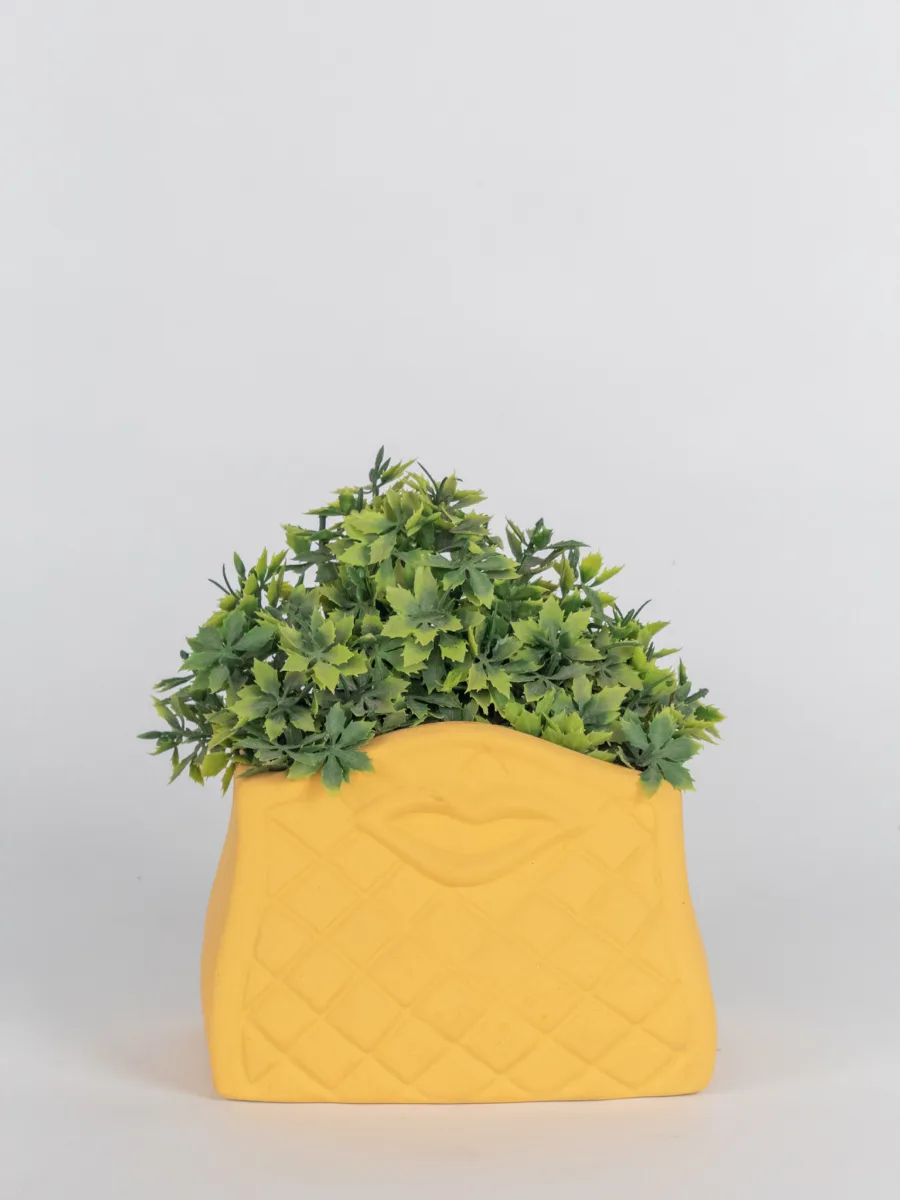 Classic Ceramic Planter — 12" Dia × 3" Height — Primary View