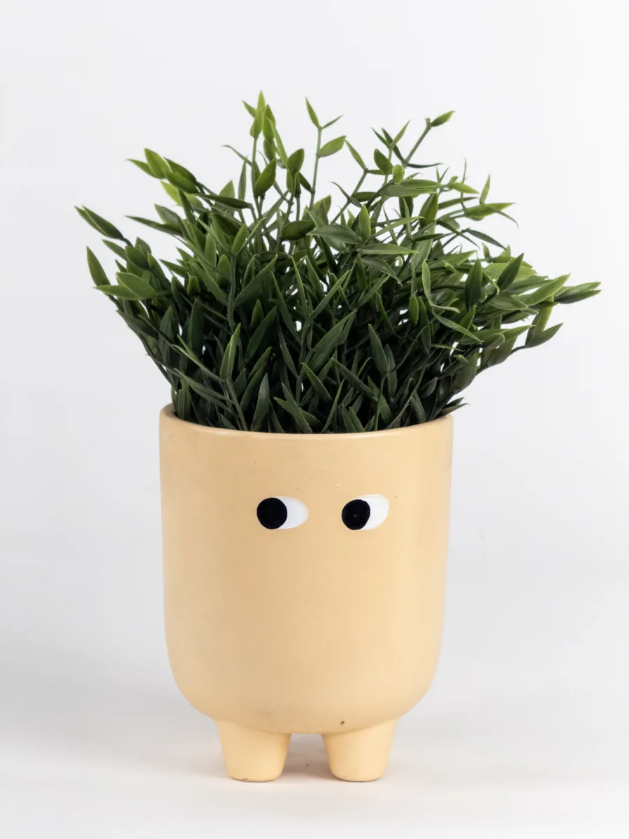 Classic Ceramic Planter — 8" Dia × 3" Height — Primary View