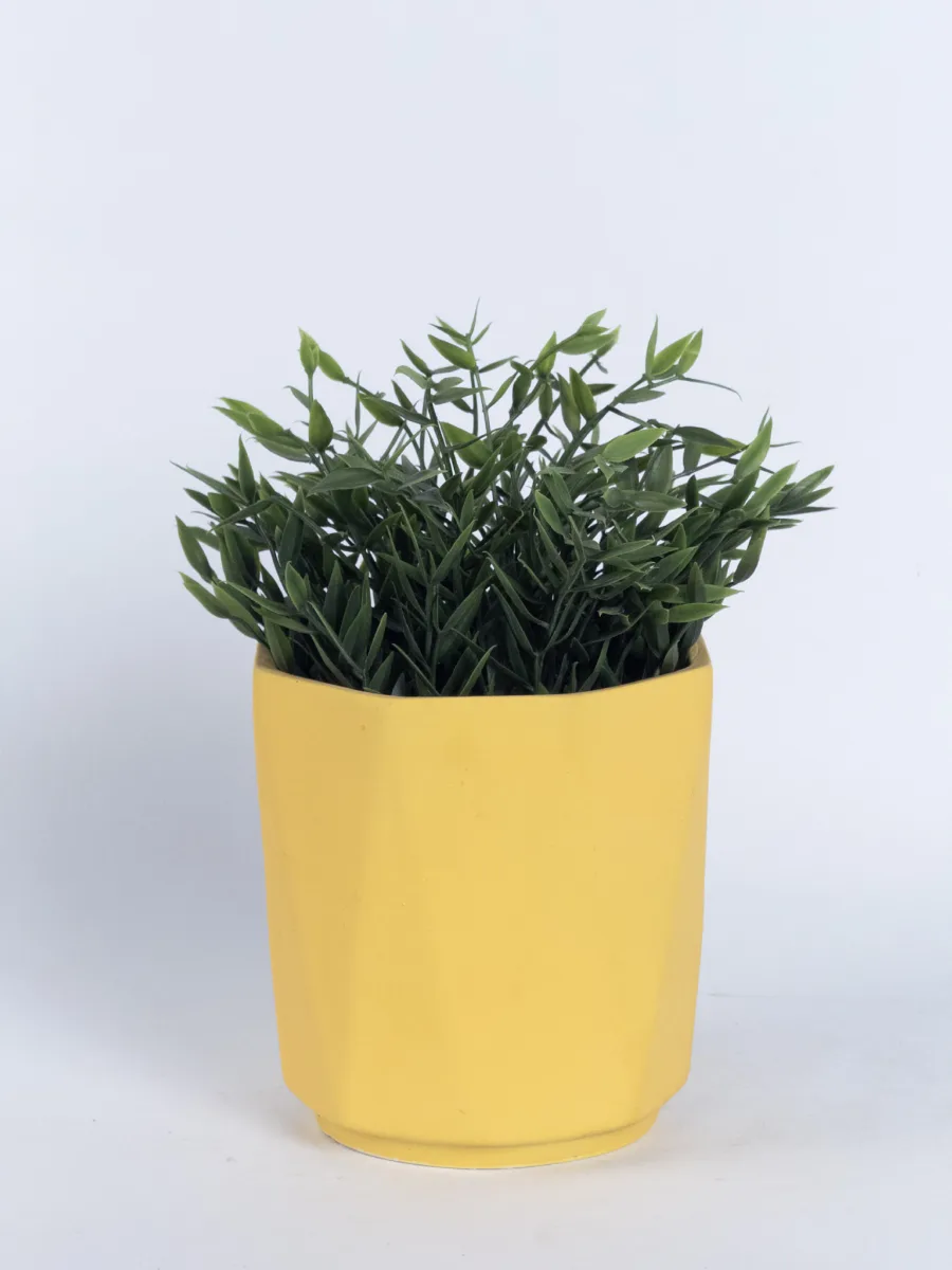 Classic Ceramic Planter — 5" Dia × 6" Height — Primary View