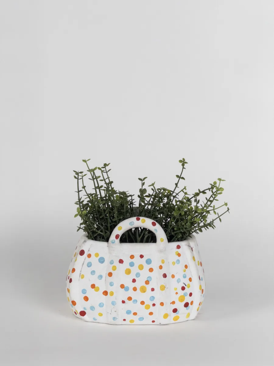 Classic Ceramic Planter — 5.5" Dia × 5" Height — Primary View