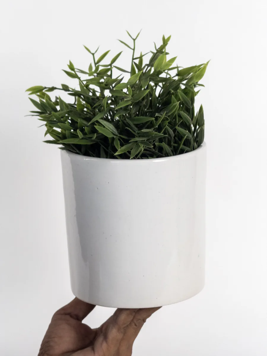 Classic Ceramic Planter — 5" Dia × 5" Height — Primary View
