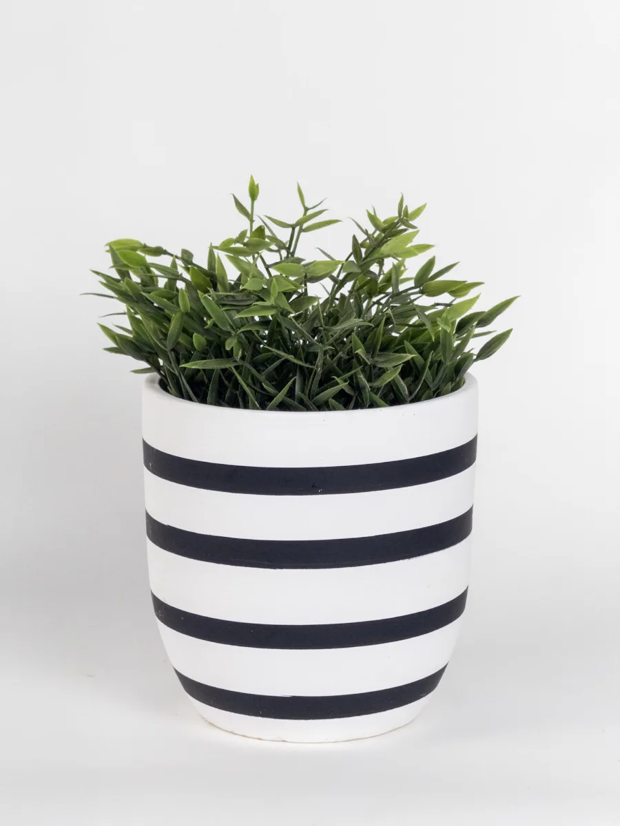 Classic Ceramic Planter — 6" Dia × 5" Height — Primary View