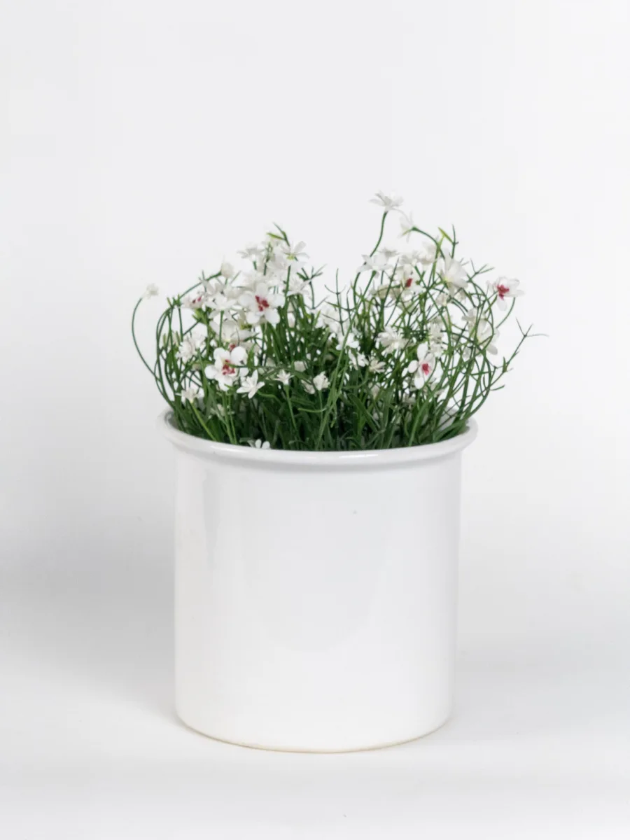 Classic Ceramic Planter — 5.5" Dia × 6" Height — Primary View