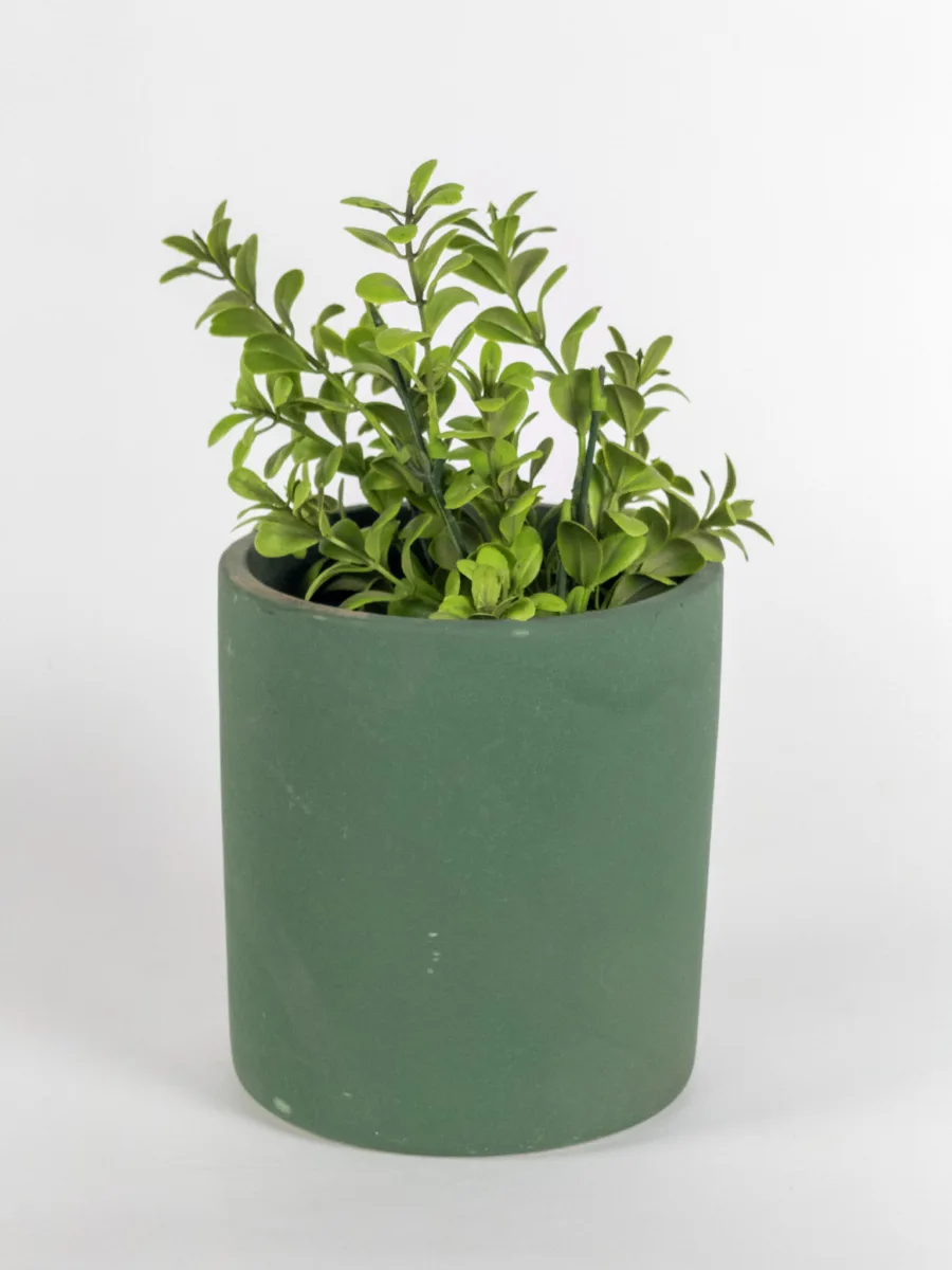 Classic Ceramic Planter — 6.5" Dia × 6.5" Height — Primary View