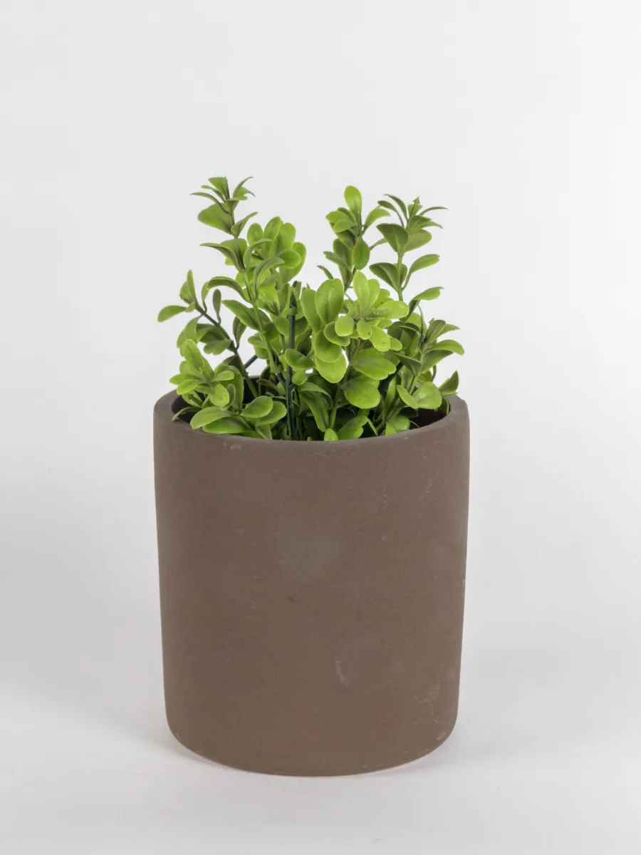 Classic Ceramic Planter — 6.5" Dia × 6.5" Height — Primary View