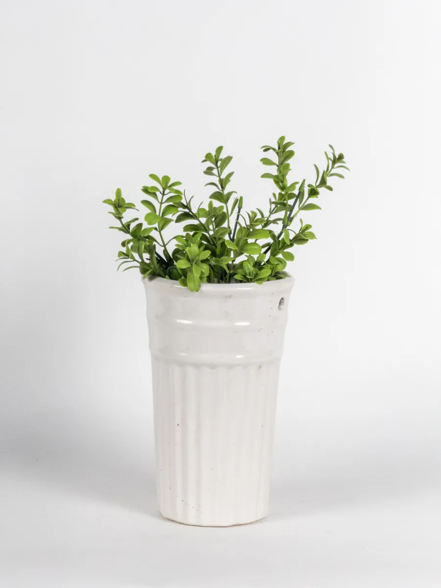 Classic Ceramic Planter — 5.5" Dia × 5" Height — Primary View