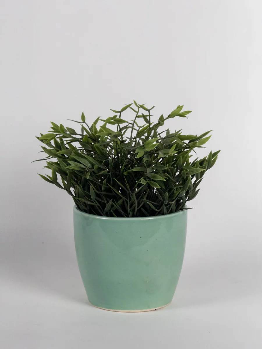 Classic Ceramic Planter — 6" Dia × 6.5" Height — Primary View