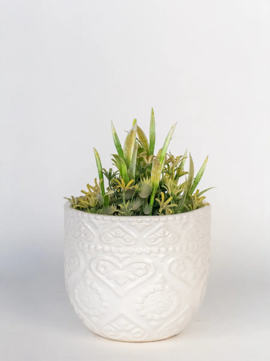Classic Ceramic Planter — 6" Dia × 6" Height — Primary View
