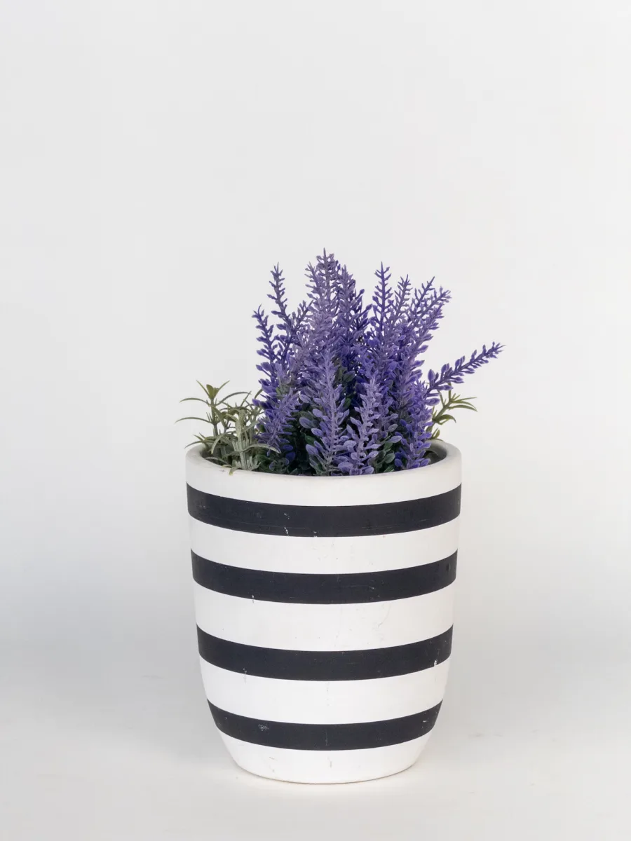 Classic Ceramic Planter — 5" Dia × 5" Height — Primary View