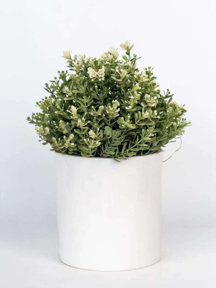 Classic Ceramic Planter — 5" Dia × 5" Height — Primary View