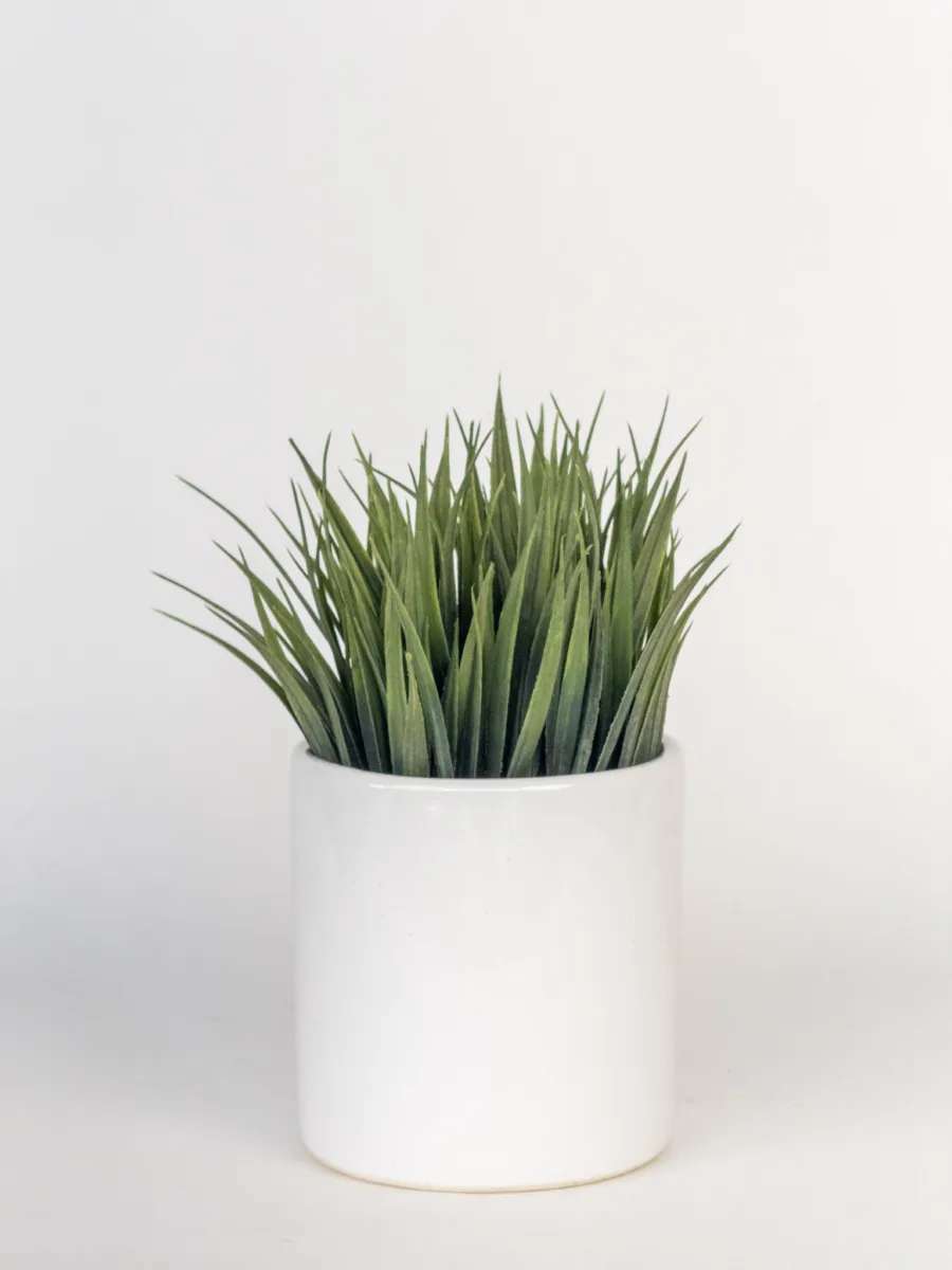 Classic Ceramic Planter — 5" Dia × 8" Height — Primary View